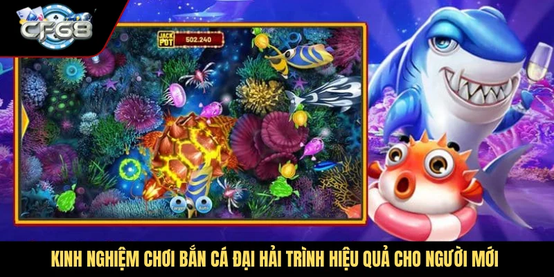 Kinh nghiệm chơi bắn cá Đại Hải Trình hiệu quả cho người mới