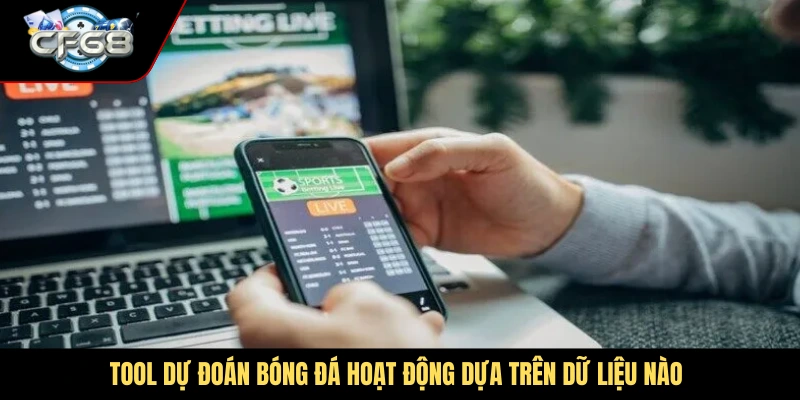 Tool dự đoán bóng đá hoạt động dựa trên dữ liệu nào