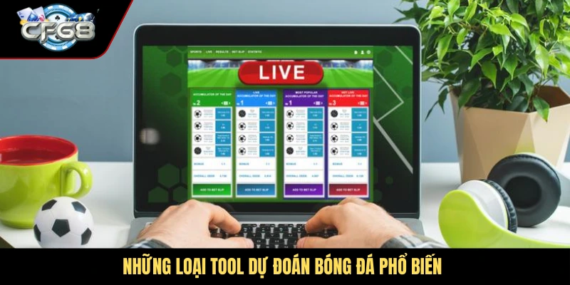 Những loại tool dự đoán bóng đá phổ biến